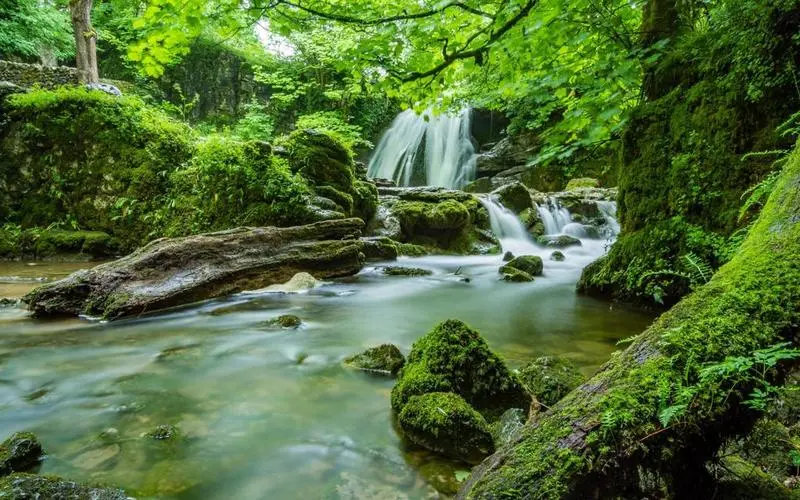 高效创意